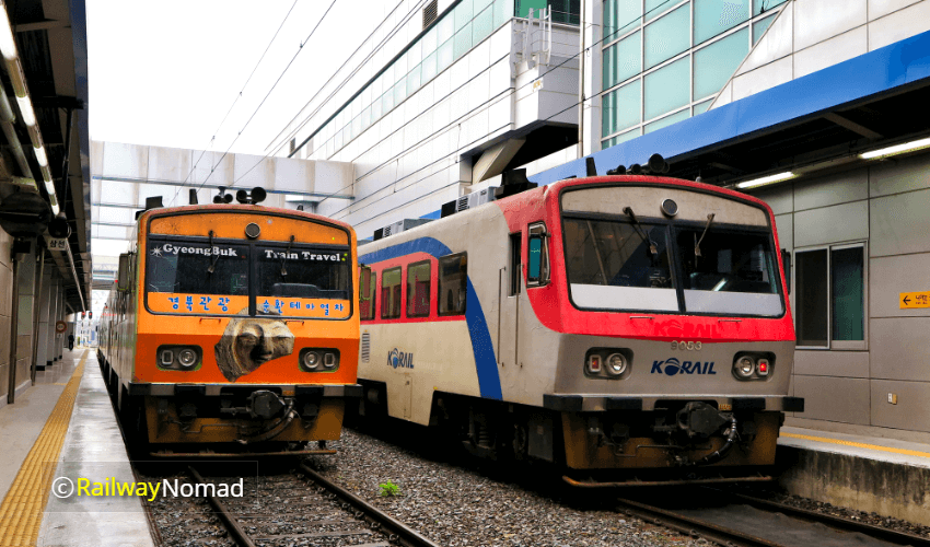 RDC_Gyeongbuk Tourism Circulation Theme Train